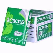 Cactus Bond Paper photo 3